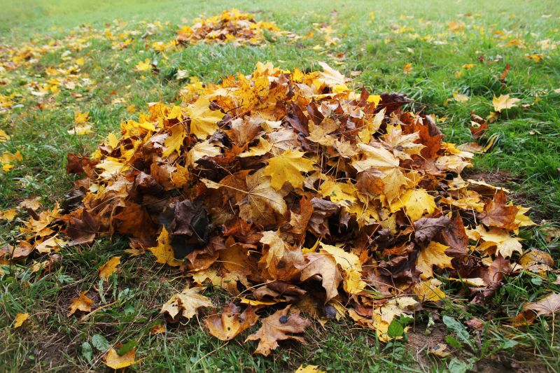 Fall Leaf Mulching