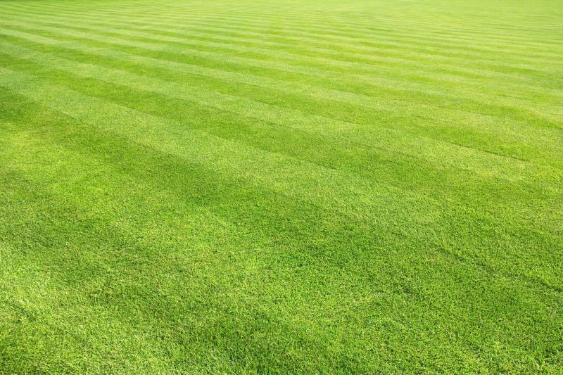 Healthy Lawn After Mowing