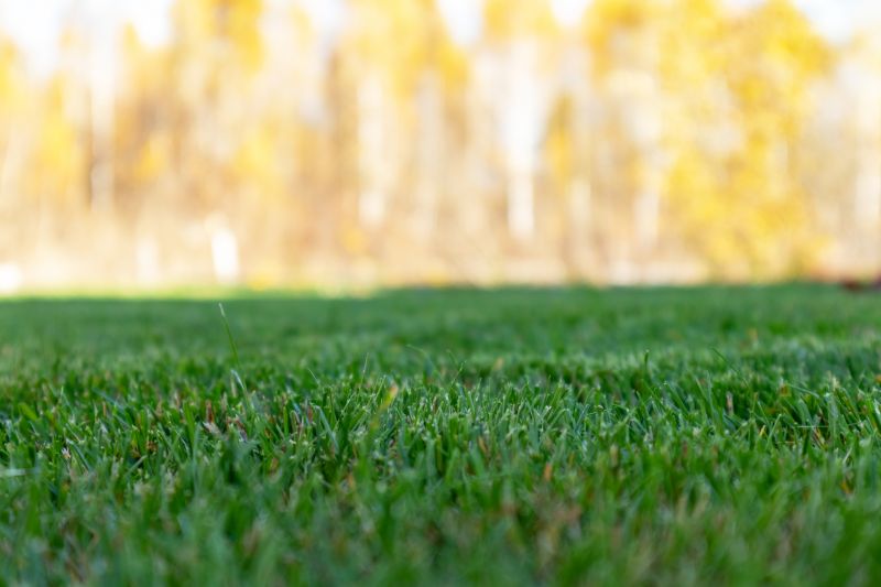 Fall Lawn Maintenance