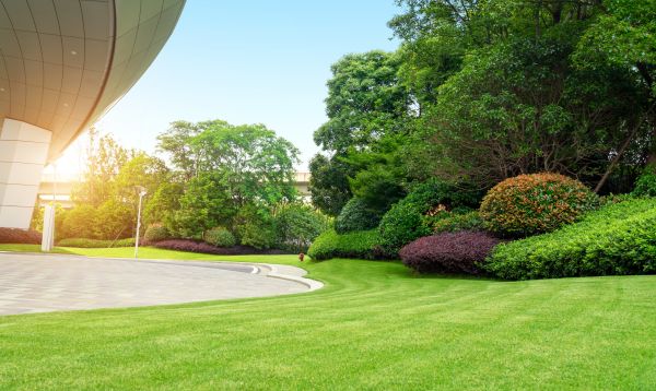 Cost of Commercial Lawn Mowing in Hilton Head Island