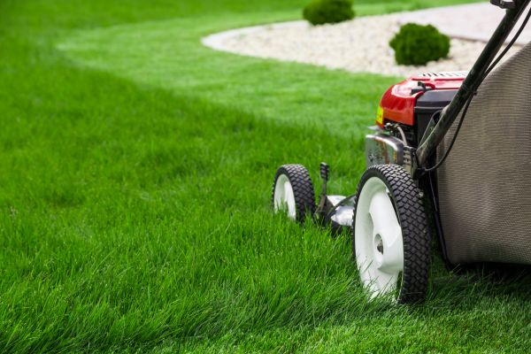 Cost of Mowing Service in Hilton Head Island