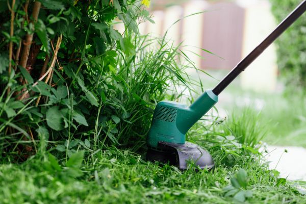 Cost of Weed Whacking in Hilton Head Island