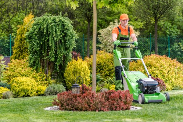 Cost of Yard Service in Hilton Head Island