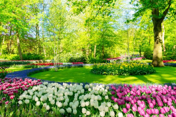 Cost of Spring Lawn Care in Hilton Head Island