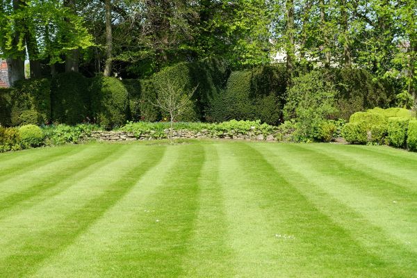 Cost of Grass Care Service in Hilton Head Island