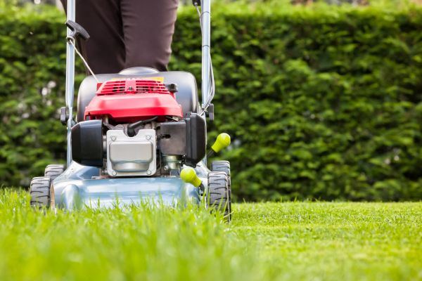 Cost of Grass Trimming Service in Hilton Head Island