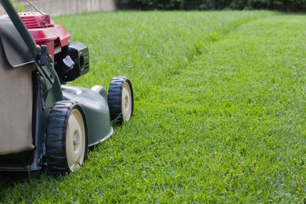 Cost of Spring Lawn Maintenance in Hilton Head Island